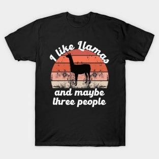 I like llamas and maybe three people T-Shirt